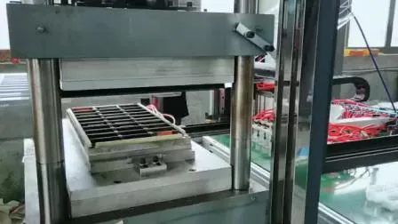 Coperchio automatico per tazza in plastica, contenitore per vassoio per alimenti, scatola a conchiglia, macchina per termoformatura