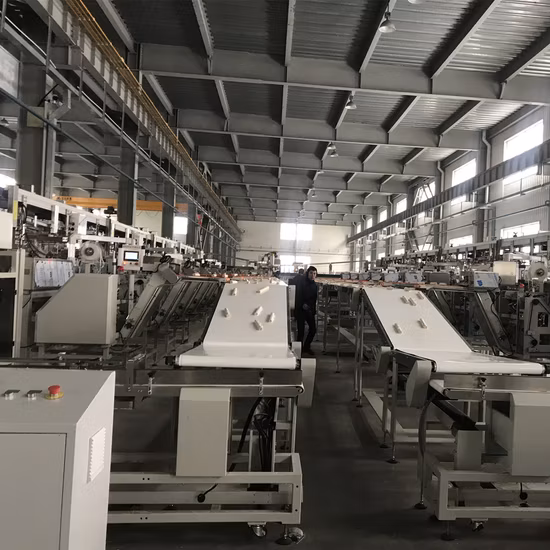 Macchina automatica per il confezionamento e l'imballaggio delle tagliatelle (BJWD -CLKZQZD-100)